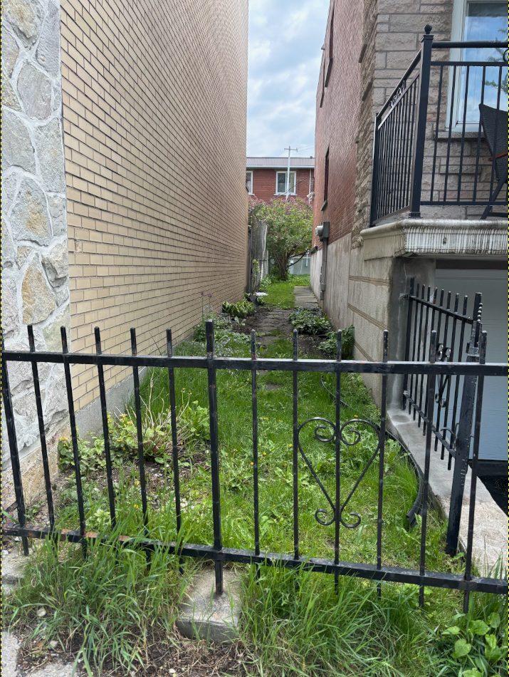 Passage latéral étroit entre deux maisons, envahi de mauvaises herbes avant l’aménagement paysager