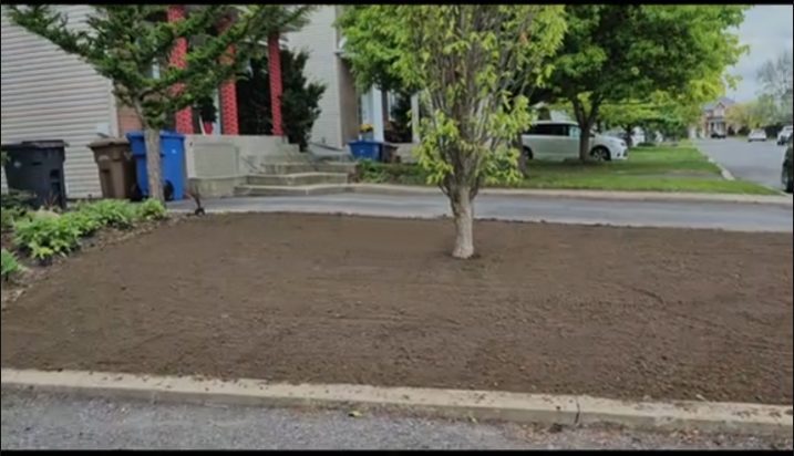 Parterre avant nivelé et préparé en terre nue autour d’un arbre, prêt à recevoir la tourbe