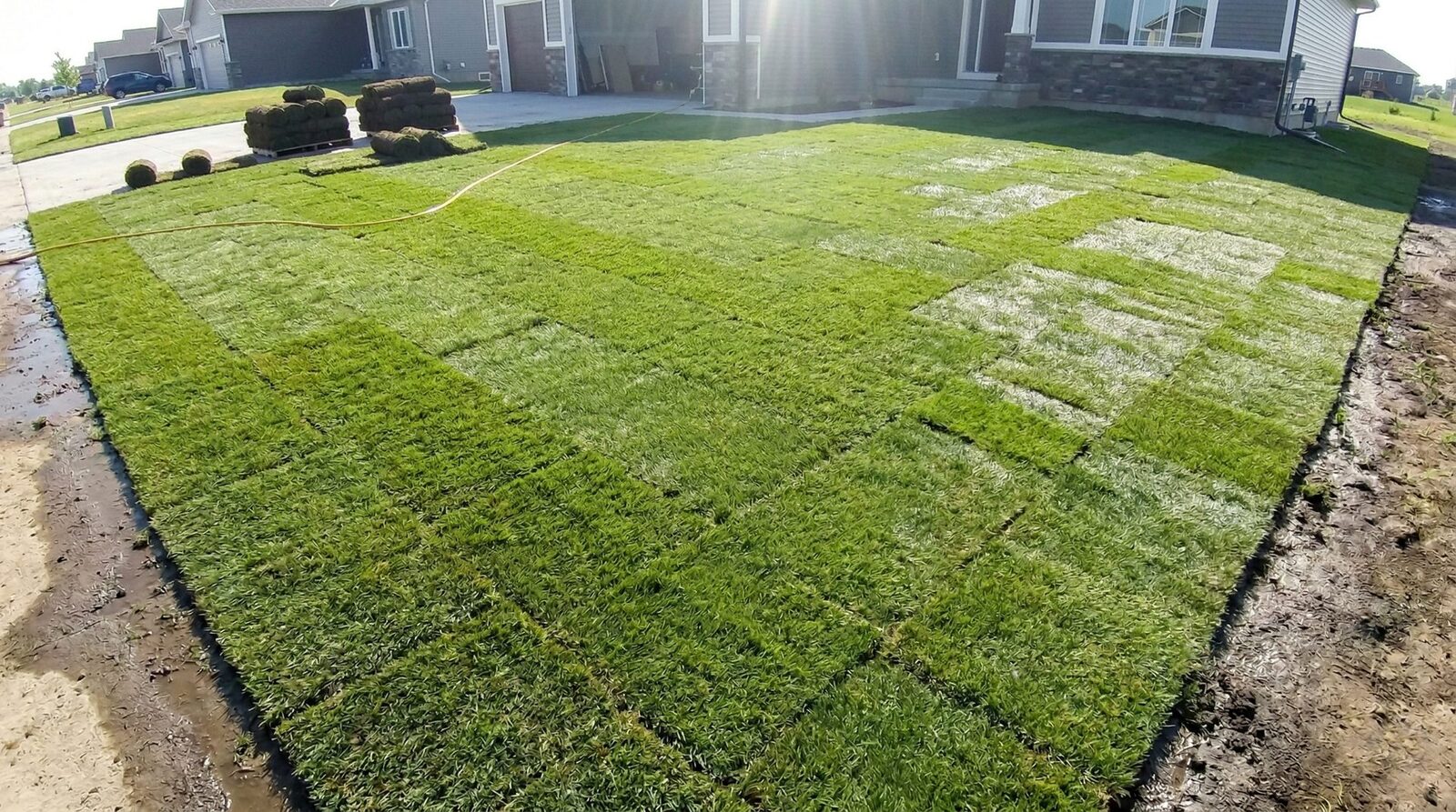 Nouvelle pelouse en plaques de tourbe fraîchement posées devant une maison, avec rouleaux de tourbe en réserve